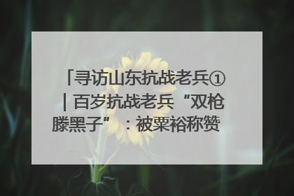 寻访山东抗战老兵①｜百岁抗战老兵“双枪滕黑子”：被粟裕称赞的“孤胆英雄”